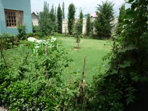 Giardino di Snow Leopard Lodge