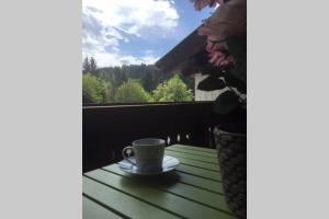 Widok na góry z tego apartamentu