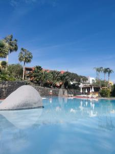 una grande piscina con una roccia in acqua di Apartamentos Oasis San Antonio a Los Cancajos