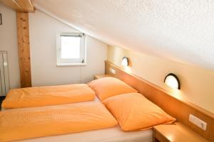 Gallery image of Haus Alpenblick in Schröcken +88 photos