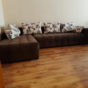 brązowa kanapa w salonie z drewnianą podłogą w obiekcie Апартамент "Рая" w mieście Dobricz