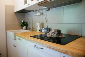 eine Küche mit einer Arbeitsplatte und einem Waschbecken in der Unterkunft Casa Agnese, tra lago e montagna in Calceranica al Lago