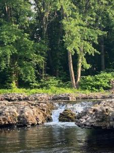 une rivière avec cascade dans une forêt dans l'établissement Murphys Law Inn 5, à Leeds