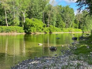 a river with rocks and ducks in the water at Murphys Law Inn 5 in Leeds