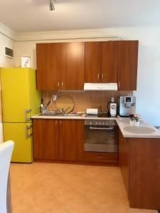 Kuchyň nebo kuchyňský kout v ubytování Pearl Apartman