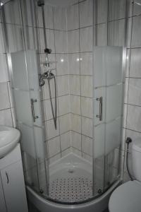 a shower with a glass door next to a toilet at Oleandria -,,Domek Jeżynka" nr 30 in Biskupiec