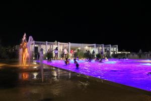 a group of people in a swimming pool at night at Hotel Bristol - a 30 mt dalla spiaggia in Misano Adriatico