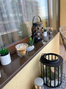 un contatore con piante in vaso su un davanzale di SUMERLAND BARI Apartment a Mamaia
