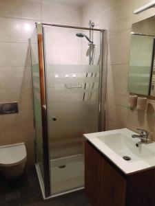 a bathroom with a shower and a sink and a toilet at Le Clos du Cerf - Le Sous-bois in Stoumont