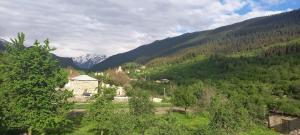 Paesaggio naturale nelle vicinanze dell'affittacamere
