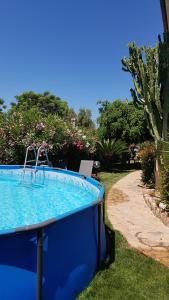 una piscina en el césped junto a un jardín en Betty vacanze, en Badesi