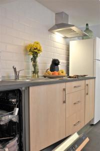 Kuchyň nebo kuchyňský kout v ubytování Bodega Trasbolsa 2