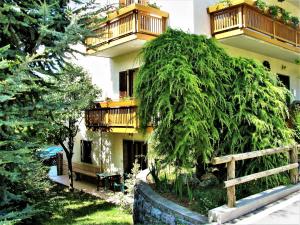 een grote groene struik voor een gebouw bij Alla casa del cedro in Cavedago
