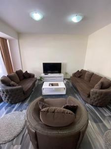 sala de estar con 2 sofás y TV en Apartman Jovicevic Pavle en Rijeka Crnojevića