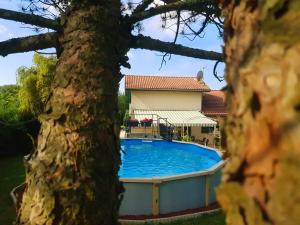 a swimming pool in front of a house at chambre AU DOUX REFUGE in Crans