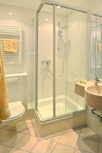 a bathroom with a shower and a toilet and a sink at Gasthof Deutscher Adler und Hotel Puchtler in Bischofsgrün