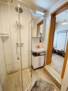 ein Bad mit einer Dusche und einem Waschbecken in der Unterkunft Haus zum See in Zwenkau