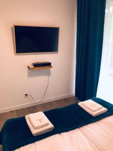 Schlafzimmer mit einem Bett und einem Flachbild-TV in der Unterkunft Marina Apartments and Jet Ski in Augustów
