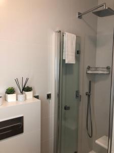 een badkamer met een douche en een glazen deur bij Marina Apartments and Jet Ski in Augustów