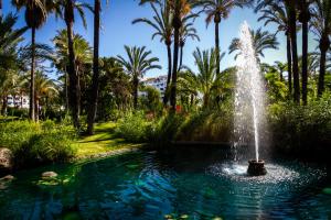 una fuente en medio de un estanque con palmeras en MARBELLA BANUS SUITES - Bird Of Paradise Playas del Duque Banús Suite Apartment, en Marbella