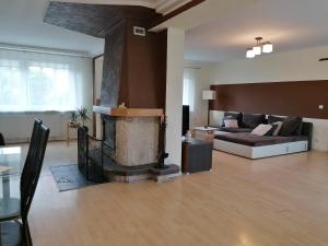 a living room with a couch and a fireplace at Lux Apartament in Giżycko