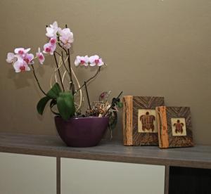 a table with a vase with pink flowers and pictures at Main square apartment in Durrës