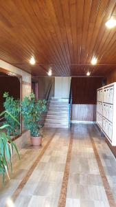 a large room with a wooden ceiling and potted plants at Bastia Appartement 3 chambres vue mer in Bastia