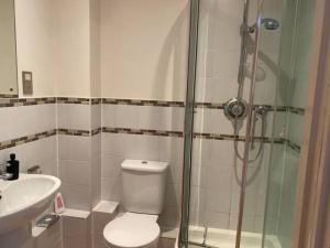 a bathroom with a shower and a toilet and a sink at 2 bed 2 baths in a central location ☆☆☆☆☆ in Basingstoke