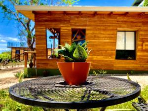 Hojancha的住宿－Hoja Azul，坐在房子前面桌子上的盆栽植物