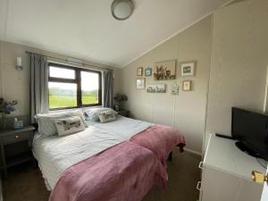 a bedroom with a bed with a window and a television at Rew Farm Country & Equestrian Accommodation - Sunrise Lodge in Melksham