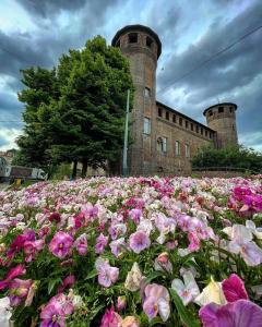 a field of flowers in front of a building at B&B Carlo Alberto in Turin