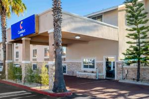 a hotel with a palm tree in front of a building at Comfort Inn San Diego Miramar in Miramar