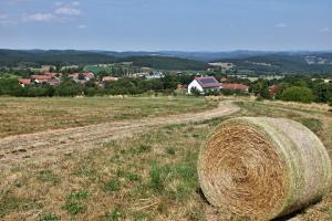 Príroda v okolí penziónu