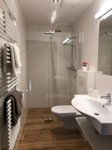 a bathroom with a shower and a toilet and a sink at Appartement Schwab Ski in & Out in Schladming