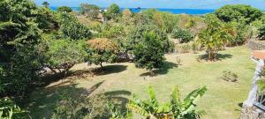 Phong cảnh thiên nhiên gần nhà nghỉ B&B