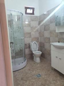 a bathroom with a shower and a toilet and a sink at Casa Simionov in Băile Herculane