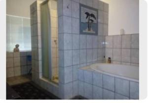bagno con doccia, vasca e lavandino di Hippo Farm Apartment a Gobabis