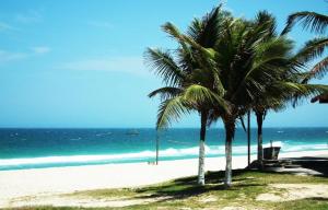 due palme su una spiaggia con l'oceano di Maison Aires Malcher a Maricá