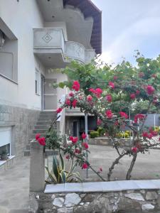 Gallery image of Rania House in Limenas