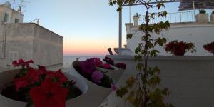 Fotografie z fotogalerie ubytování My Monopoli- Casa dei Fiori "Orchidea" Centro Storico v destinaci Monopoli