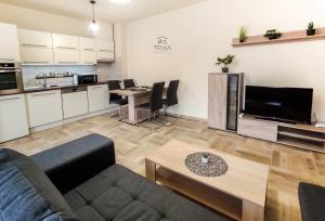 a living room with a couch and a table at Trika Apartman in Sárvár