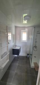 a white bathroom with a sink and a shower at Gîte Le Bois d Argonne in Le Vieil-Dampierre