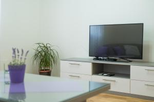 TV a/nebo společenská místnost v ubytování Too Sweet Apartment 1