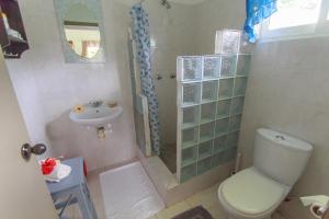 un bagno con doccia, WC e lavandino di Coco Blanche ad Anse Royale
