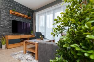 a living room with a couch and a tv at Nela by Mountain ways in Loučná pod Klínovcem