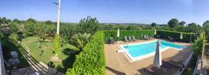 an overhead view of a swimming pool in a garden at Red Rose B&B in Martina Franca