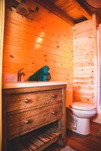 A bathroom at Denali Wild Stay - Redfox Cabin, Free Wifi, private, sleep 6
