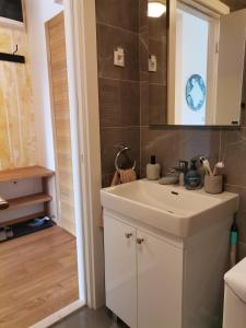 een badkamer met een witte wastafel en een spiegel bij Wellport30 in Belgrado