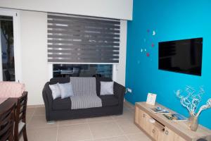 TV a/nebo společenská místnost v ubytování Giotis apartments