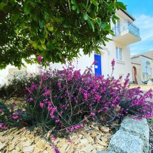 un jardin avec des fleurs violettes en face d'une maison dans l'établissement DAS STRANDGLÜCK - Villa und Mee(h)r, à Graal-Müritz